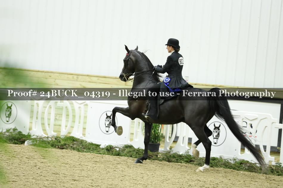 Proof 24BUCK_04319