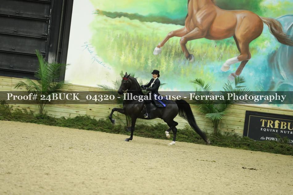 Proof 24BUCK_04320
