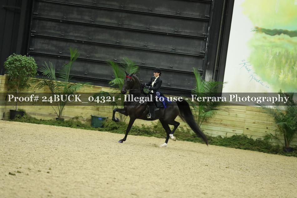 Proof 24BUCK_04321
