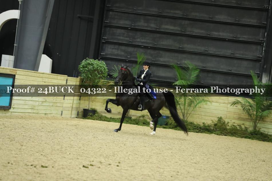 Proof 24BUCK_04322