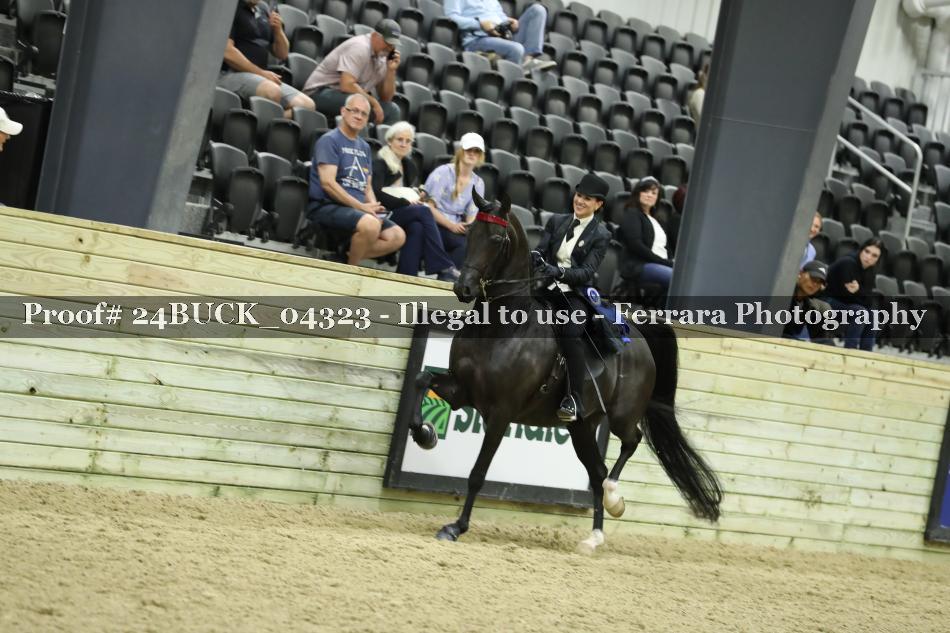 Proof 24BUCK_04323