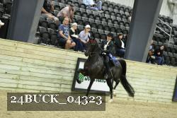 24BUCK_04323 proof