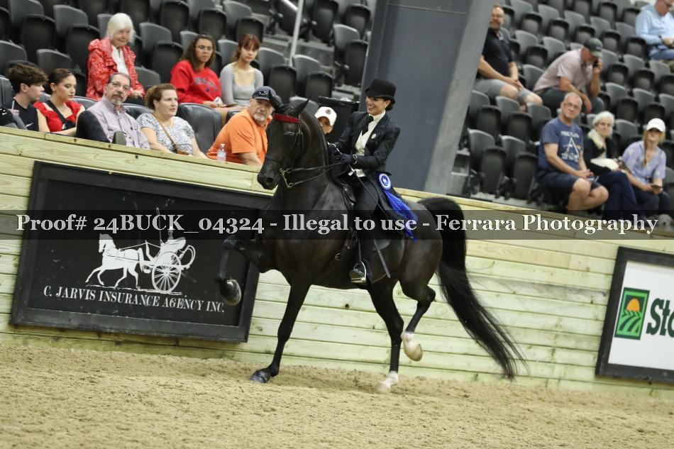 Proof 24BUCK_04324