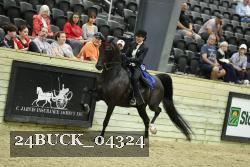 24BUCK_04324 proof