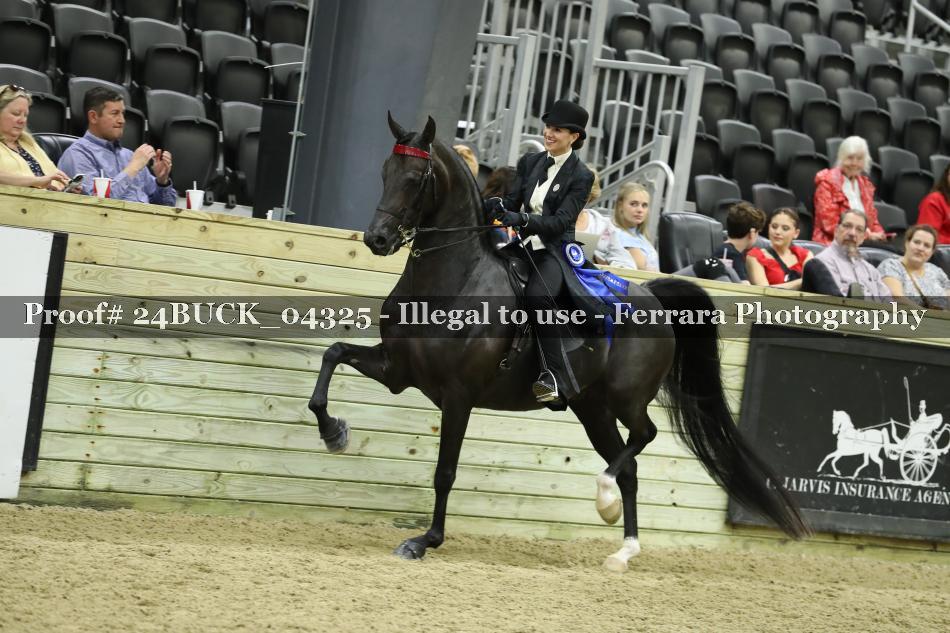 Proof 24BUCK_04325