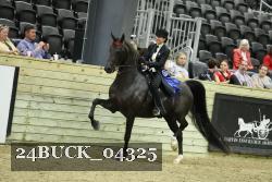 24BUCK_04325 proof