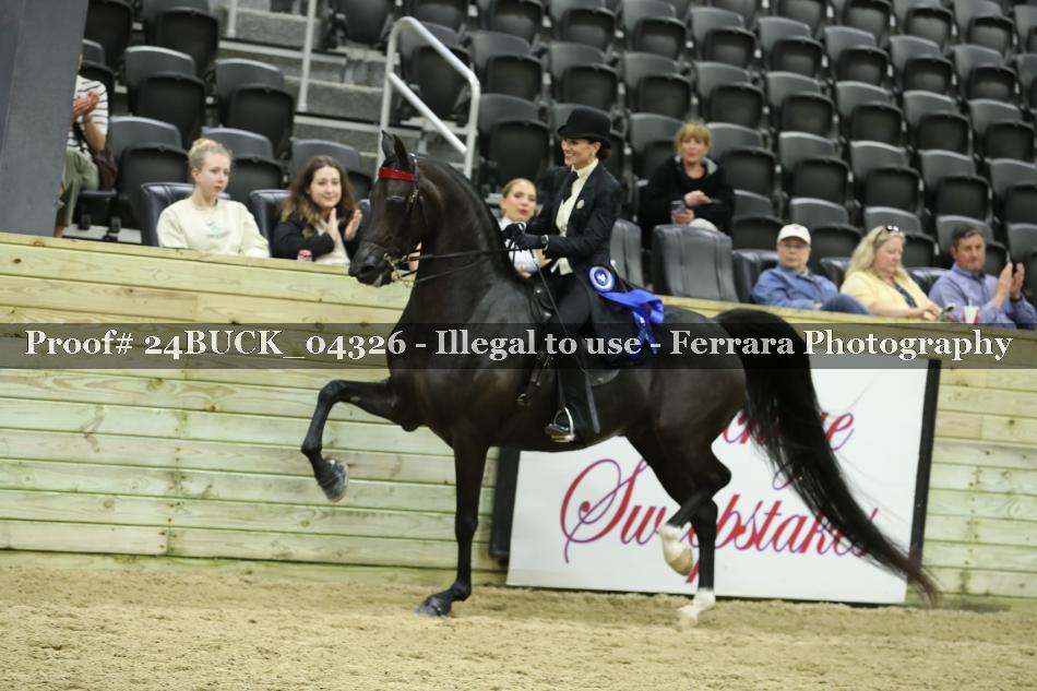 Proof 24BUCK_04326