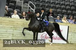 24BUCK_04326 proof