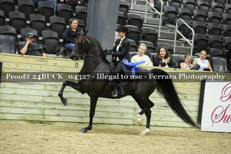 Proof 24BUCK_04327