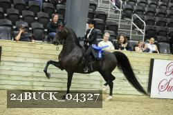 24BUCK_04327 proof