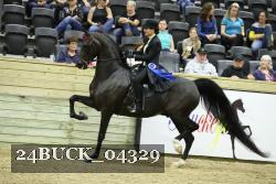 24BUCK_04329 proof