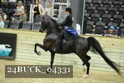 24BUCK_04331 proof
