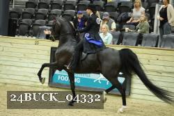 24BUCK_04332 proof