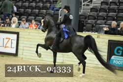 24BUCK_04333 proof