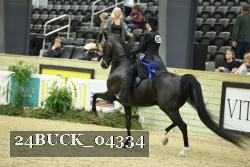 24BUCK_04334 proof