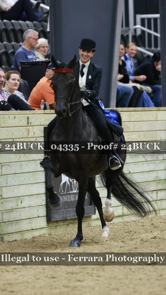 Proof 24BUCK_04335
