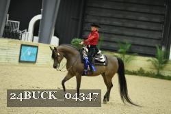 24BUCK_04347 proof