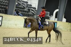 24BUCK_04348 proof