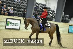 24BUCK_04349 proof