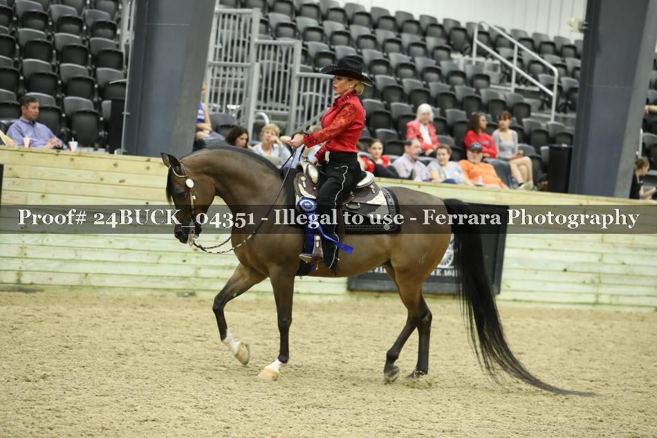 Proof 24BUCK_04351
