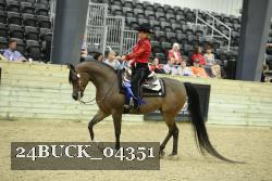 24BUCK_04351 proof