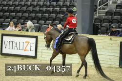 24BUCK_04357 proof