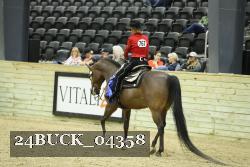 24BUCK_04358 proof