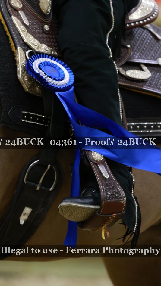 Proof 24BUCK_04361