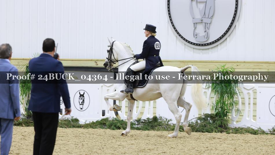 Proof 24BUCK_04364