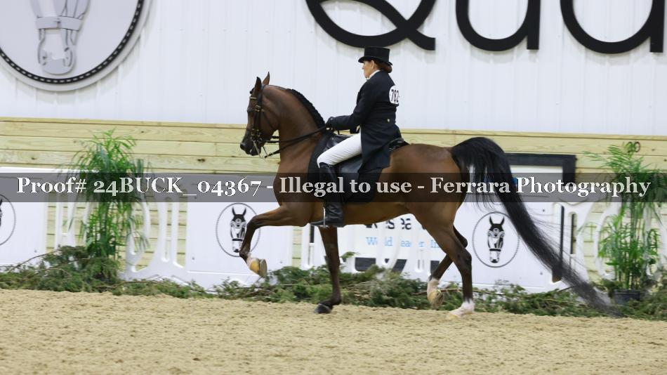 Proof 24BUCK_04367
