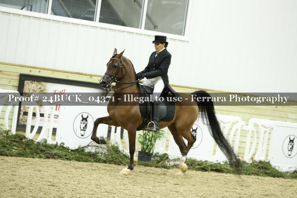 Proof 24BUCK_04371