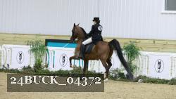 24BUCK_04372 proof