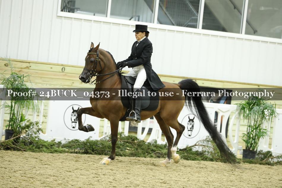 Proof 24BUCK_04373