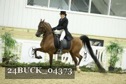 24BUCK_04373 proof