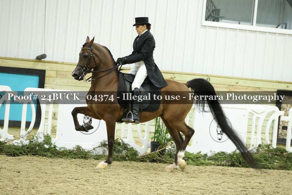 Proof 24BUCK_04374