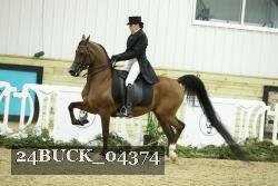 24BUCK_04374 proof