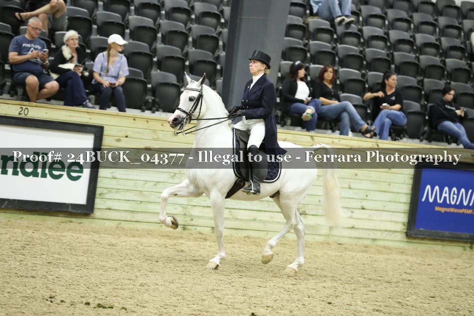 Proof 24BUCK_04377