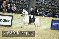 24BUCK_04377 proof