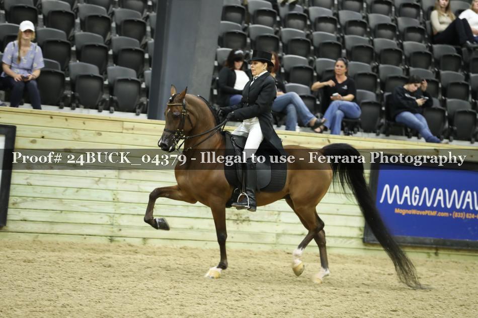 Proof 24BUCK_04379