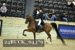 24BUCK_04379 proof