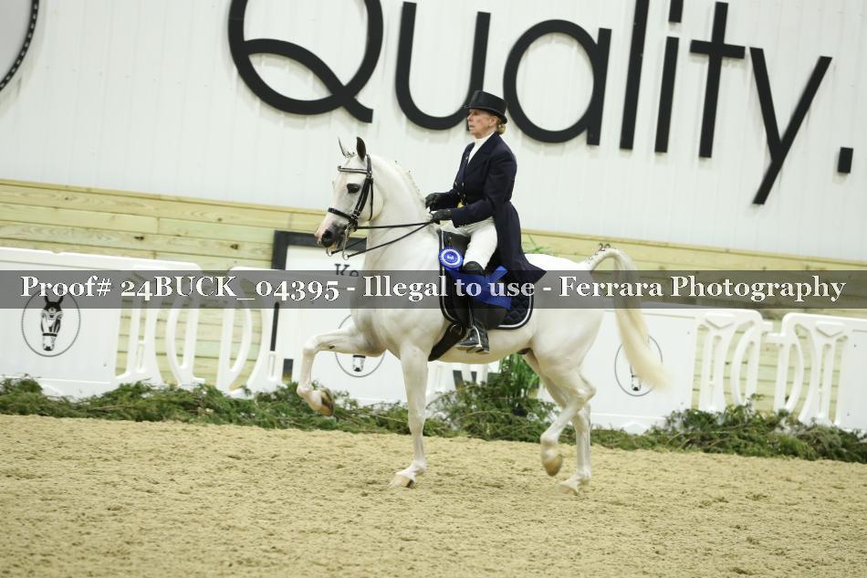 Proof 24BUCK_04395