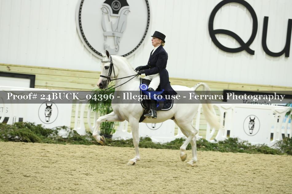 Proof 24BUCK_04396