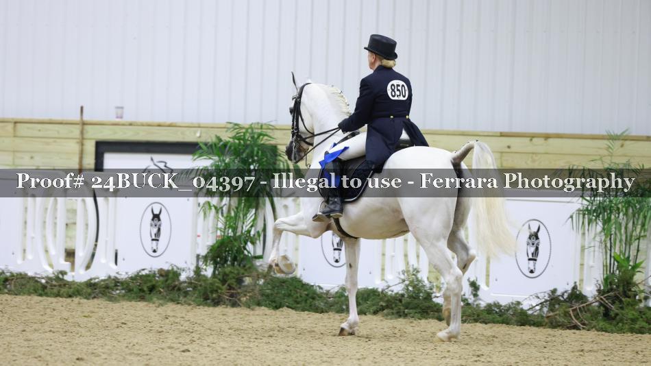 Proof 24BUCK_04397