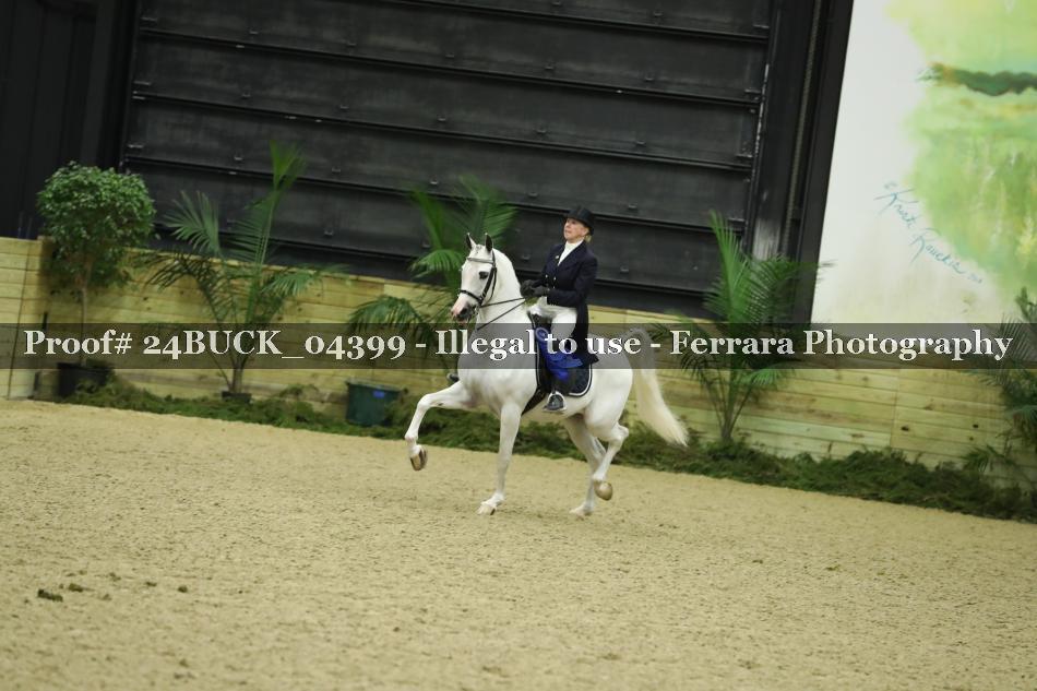 Proof 24BUCK_04399