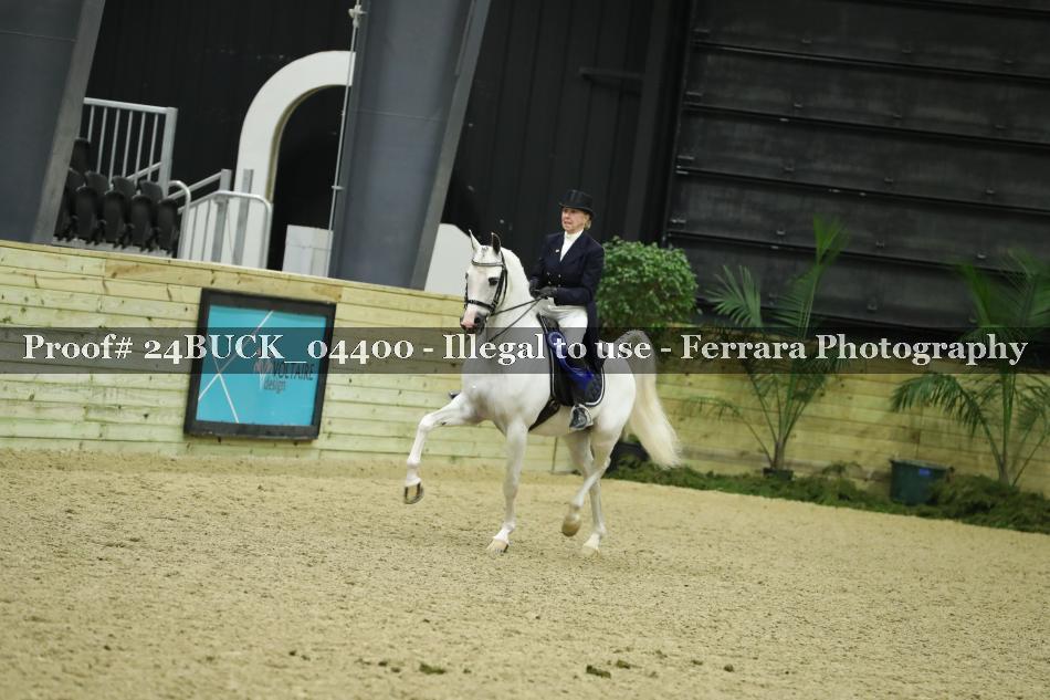 Proof 24BUCK_04400