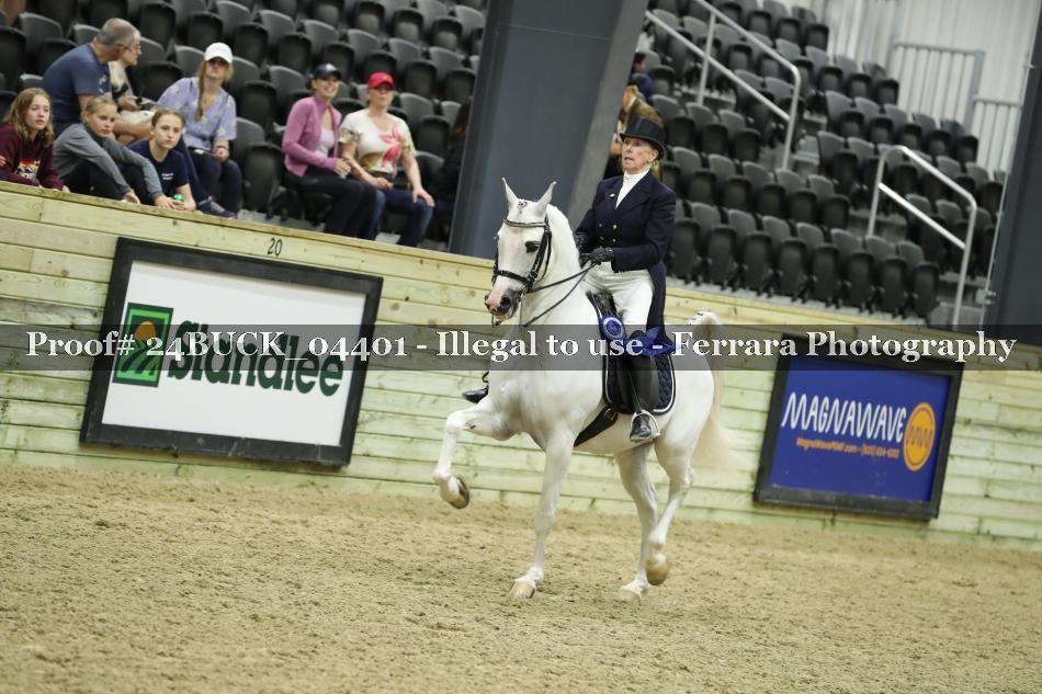 Proof 24BUCK_04401