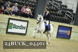 24BUCK_04401 proof