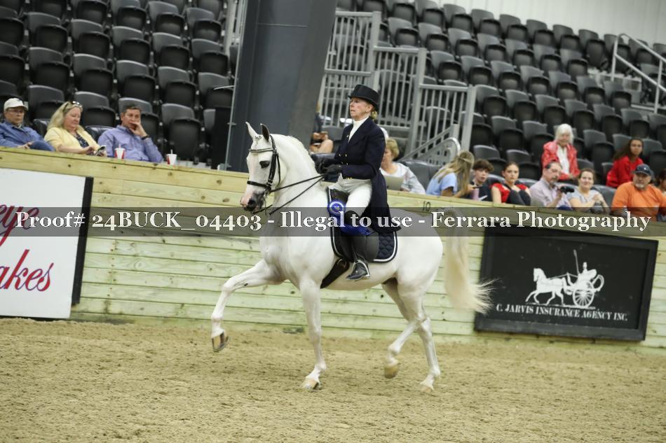 Proof 24BUCK_04403