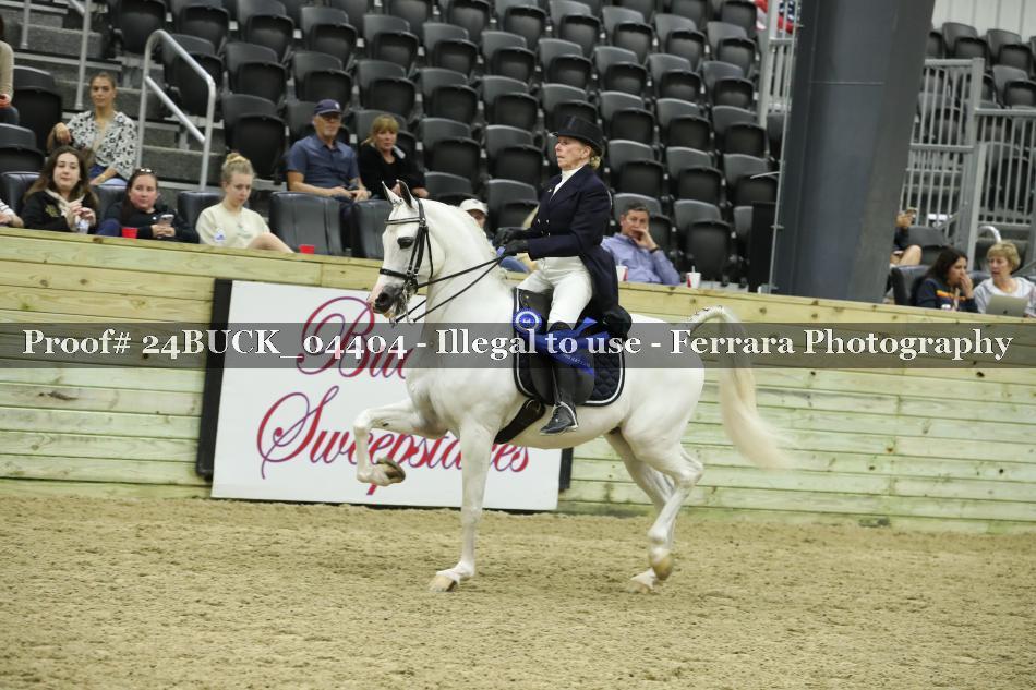 Proof 24BUCK_04404