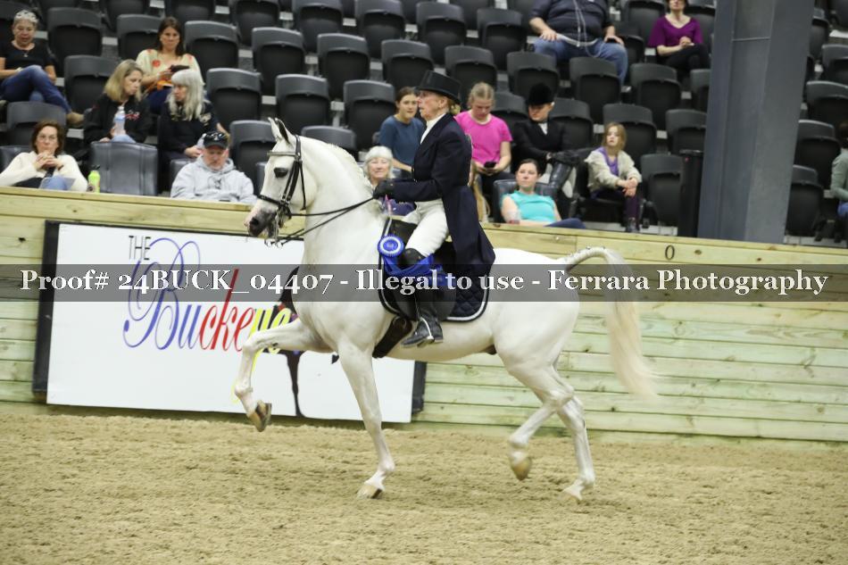 Proof 24BUCK_04407